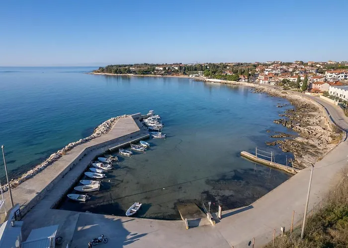 Elia 사부드리자