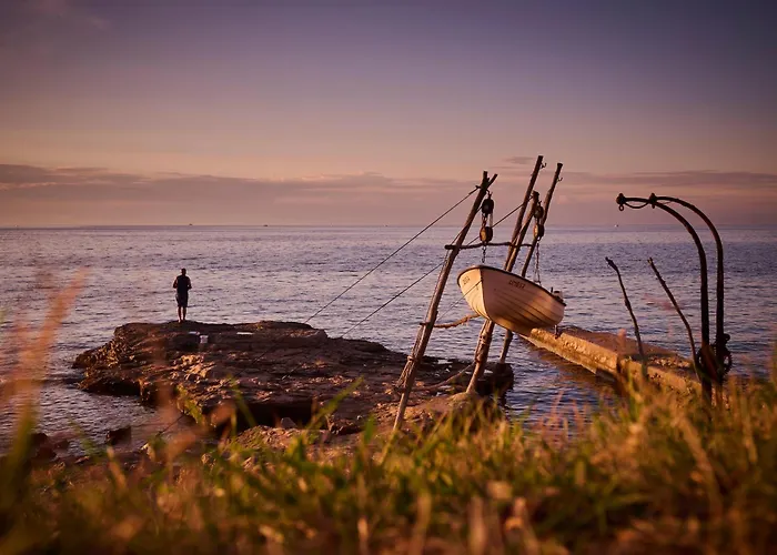 아파트 Elia 사부드리자